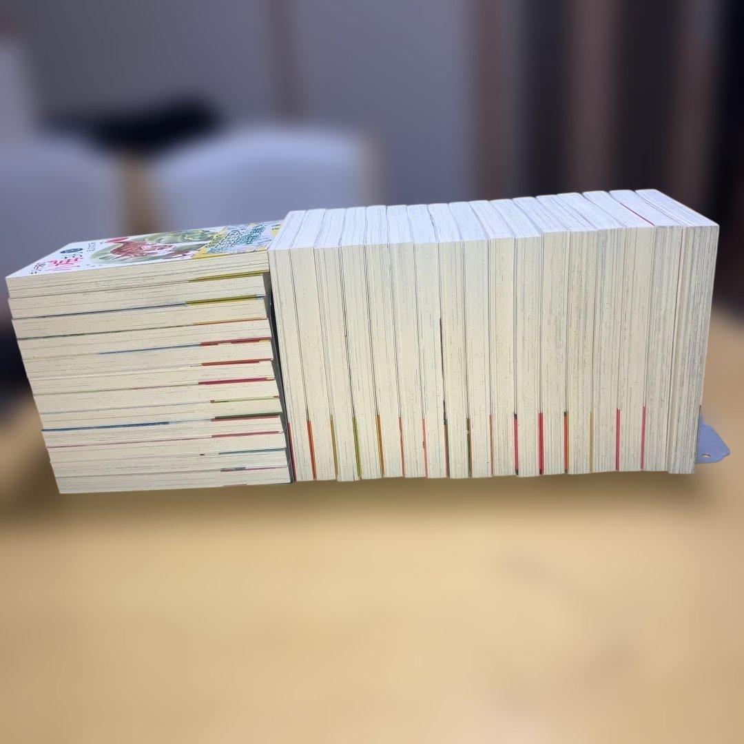 キジトラ猫の小梅さん＋子猫の小梅さん　　ほしのなつみ／少年画報社