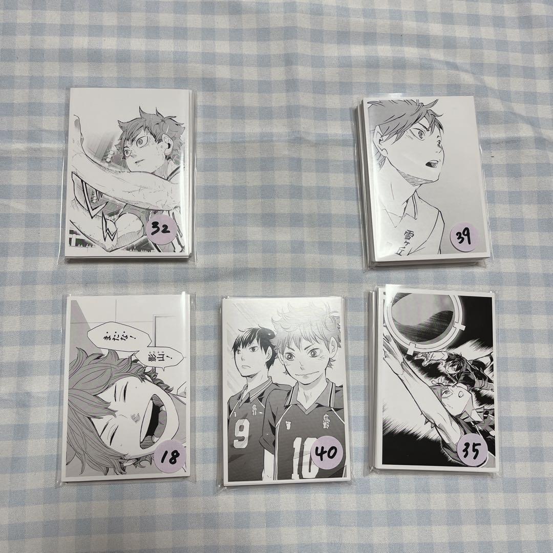 ハイキュー　フォトカ　フォトカード　クロニクル　日向翔陽