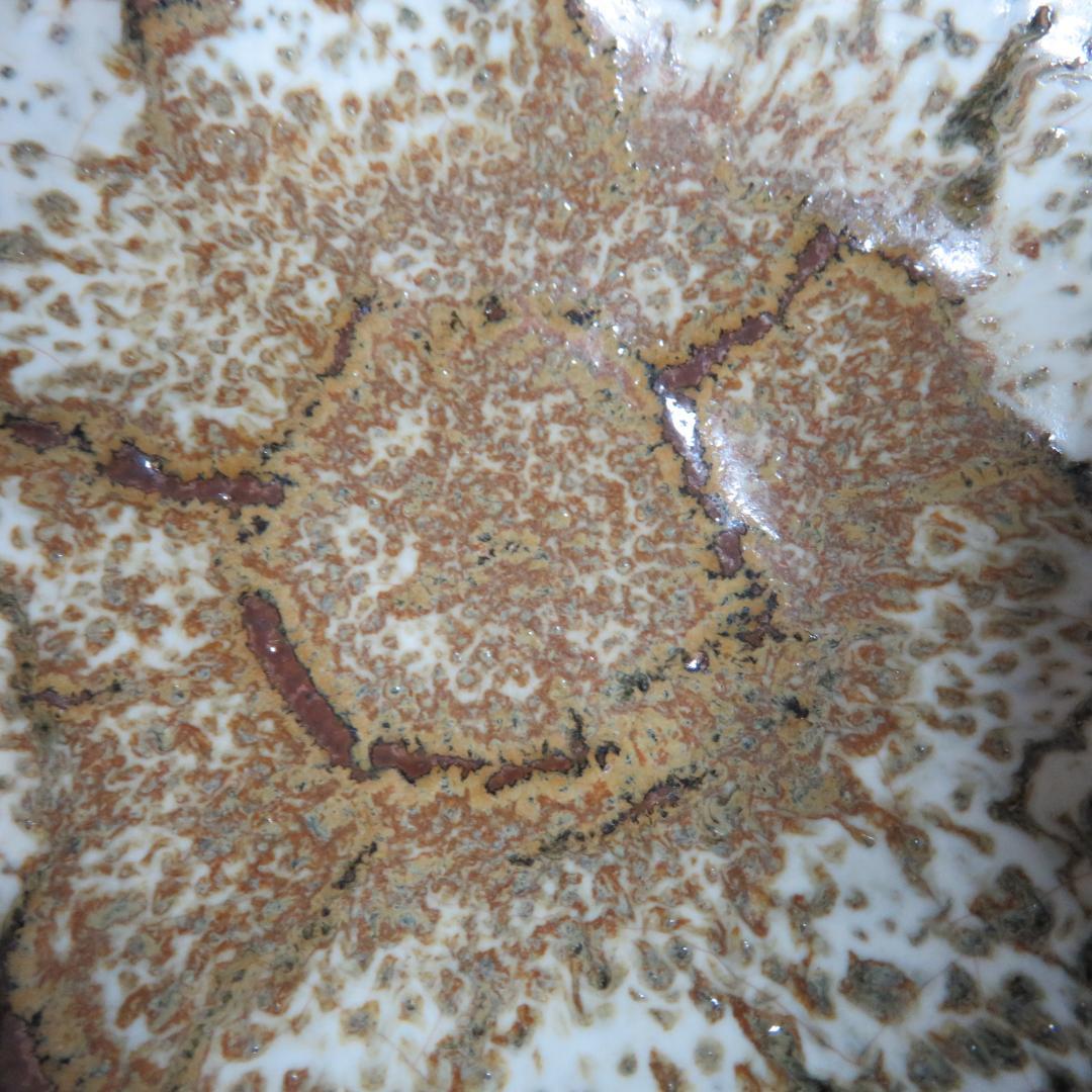 茶碗 節 在銘 木箱 パイソン 抹茶碗 茶器 茶道具 いっぷく