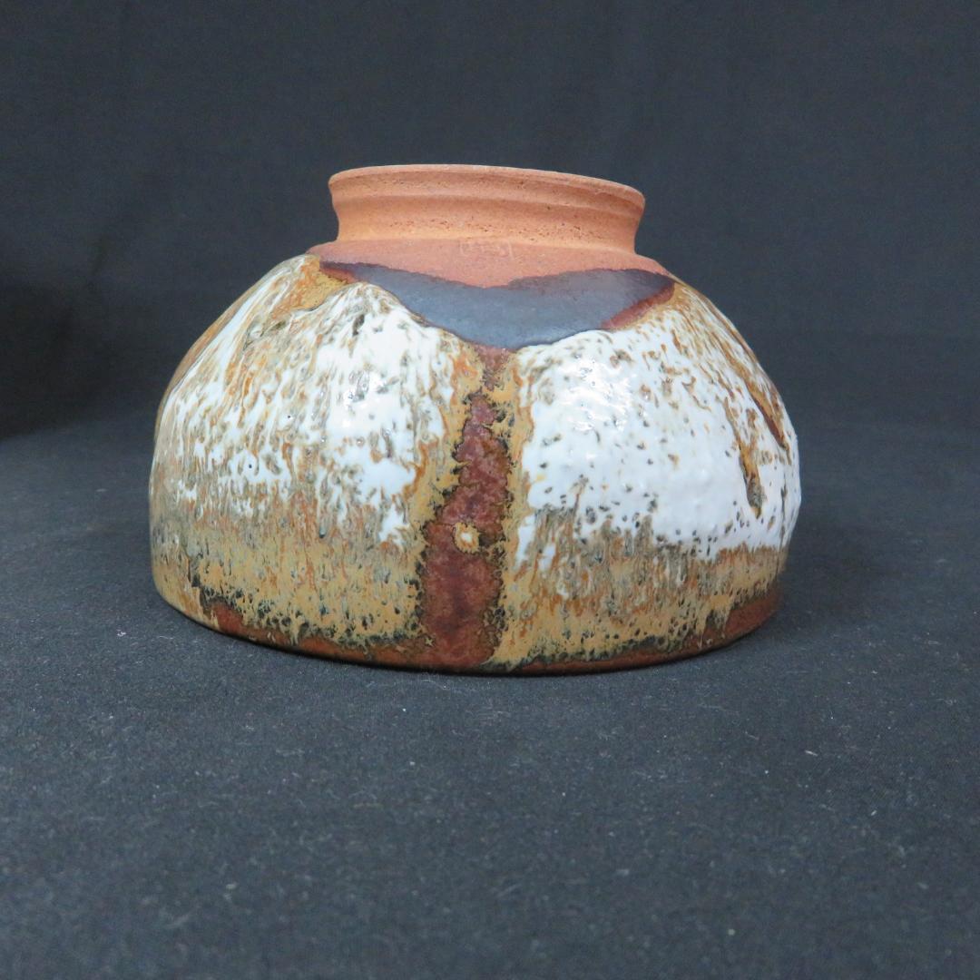 茶碗 節 在銘 木箱 パイソン 抹茶碗 茶器 茶道具 いっぷく