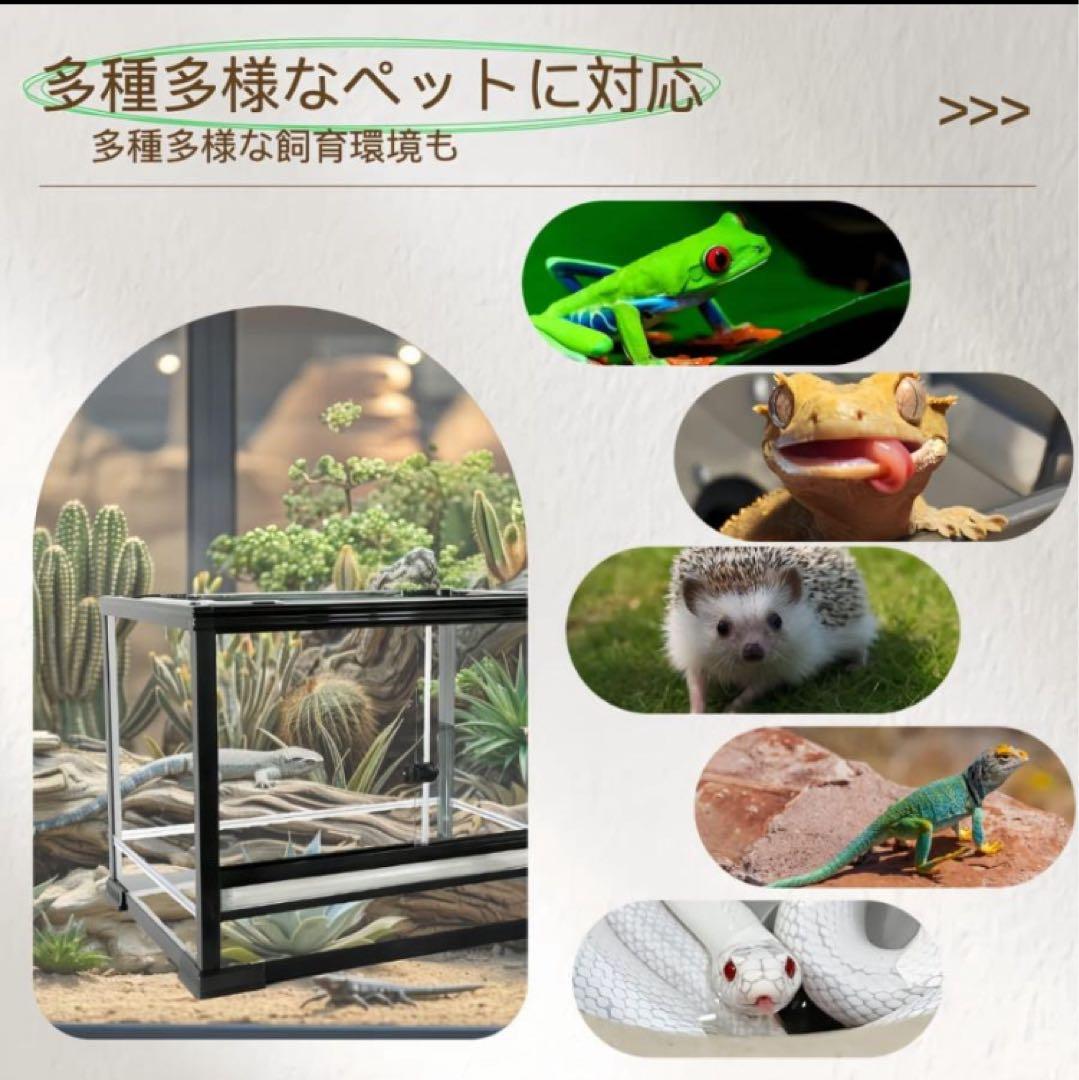 組み立て式　爬虫類両生類飼育ケージ、ガラス飼育ケージ60x45x45cm送料込み