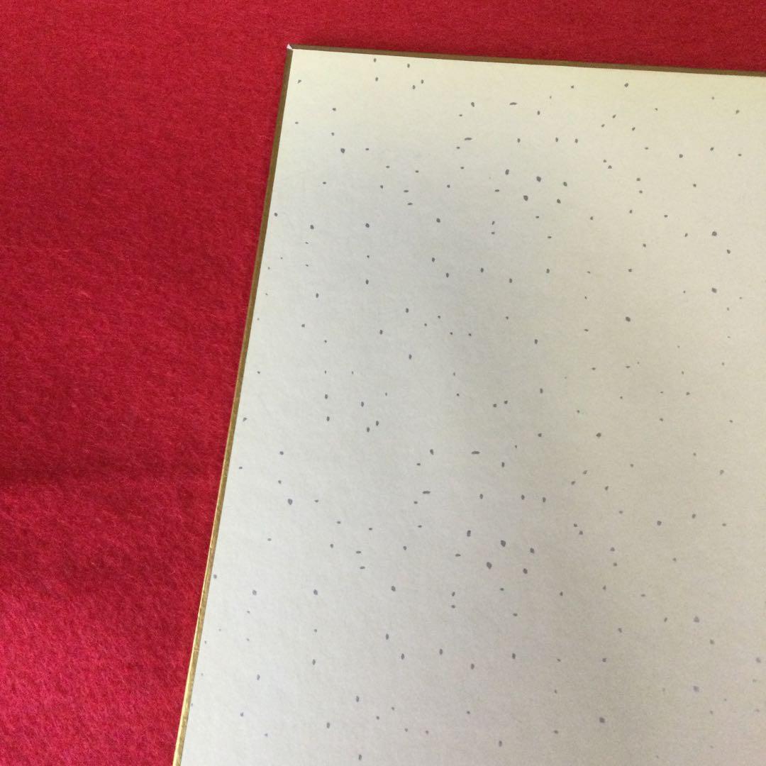 ビーナスイレブン サイン入り色紙 桃咲こまちラフデザイン版イラストVer.