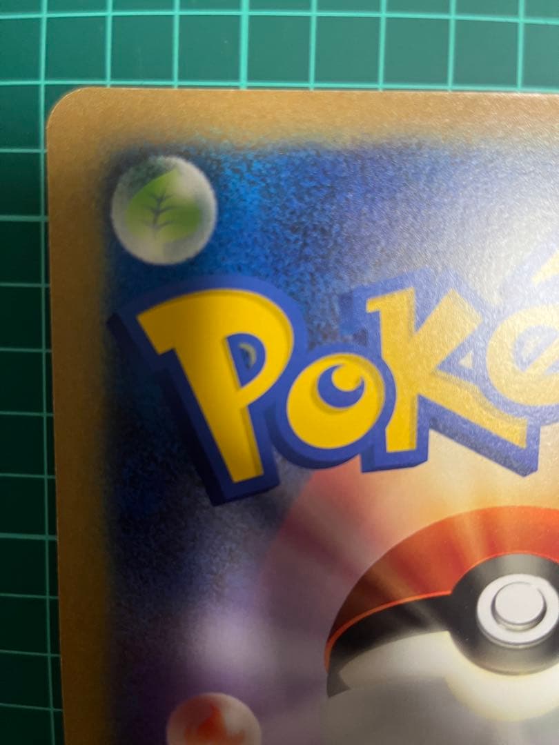 【レア】BW-P ミジュマル ジャンボカード ポケモンセンターフクオカ