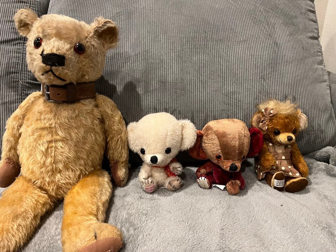 t*n様 チーキー　顔デカちゃん3体セット　メリーソート