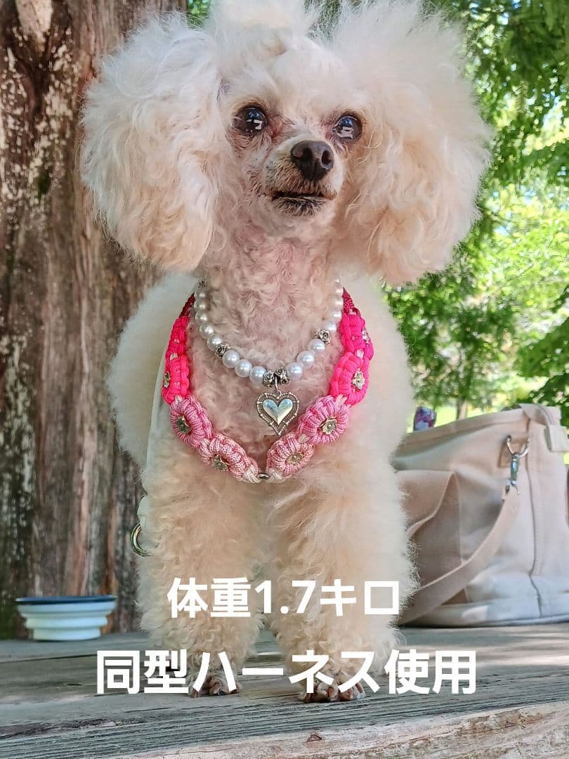 パラコードハーネス