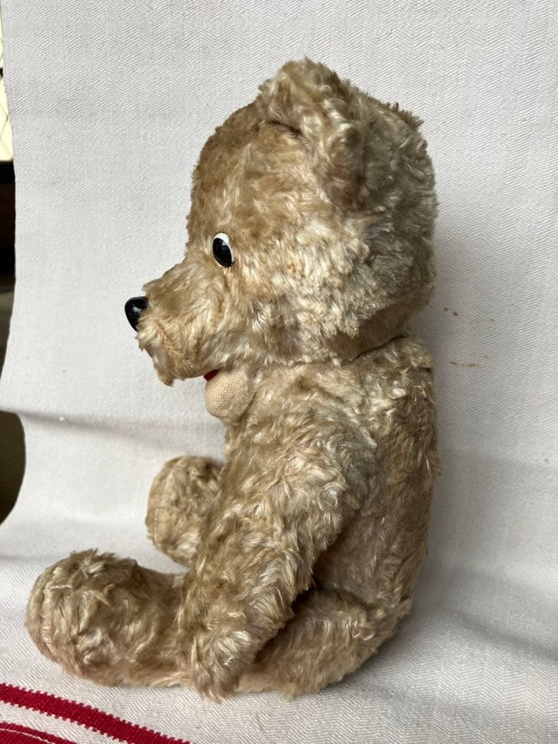 スロベニアの蚤の市に転がっていたテディベア スロヴェニア アンティーク