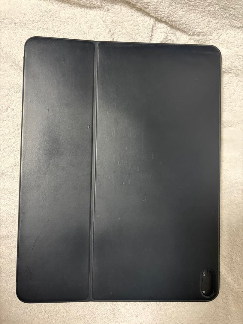 iPad Pro 12.9インチ第3世代 256GB