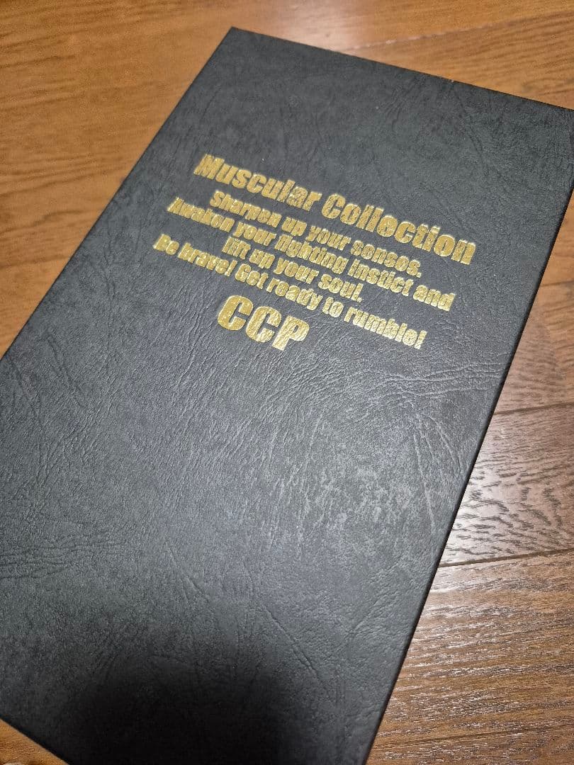 CCP ジャンクマン　匠仕様(原作カラー)ダブルフェイスボディ(コの字ハンド)