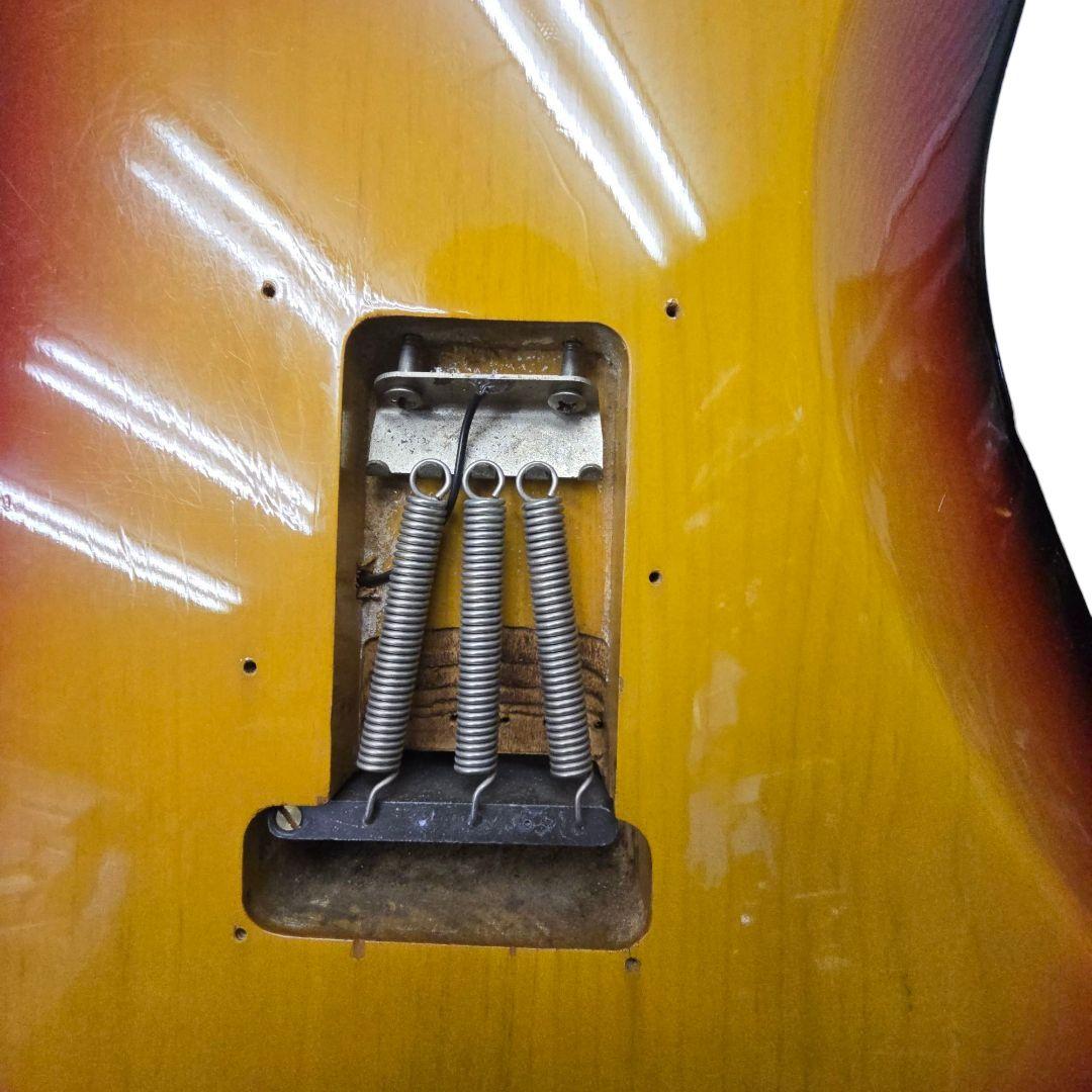 ジ*グ様 カスタマイズエレキギター　FERNANDESプレート　fenderピッ