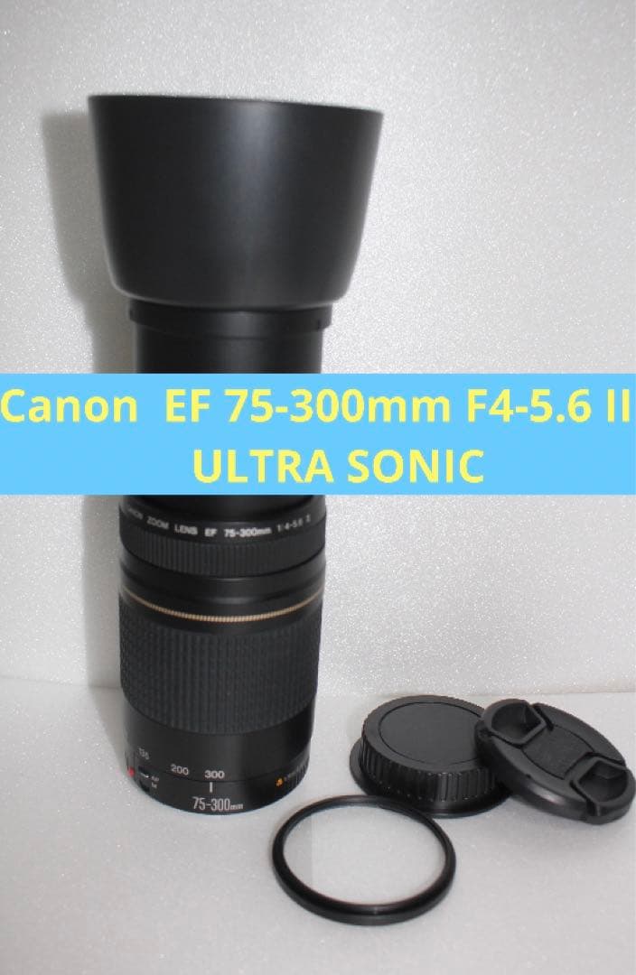 人気の望遠レンズ☆フード付き☆キヤノン Canon EF75-300㎜