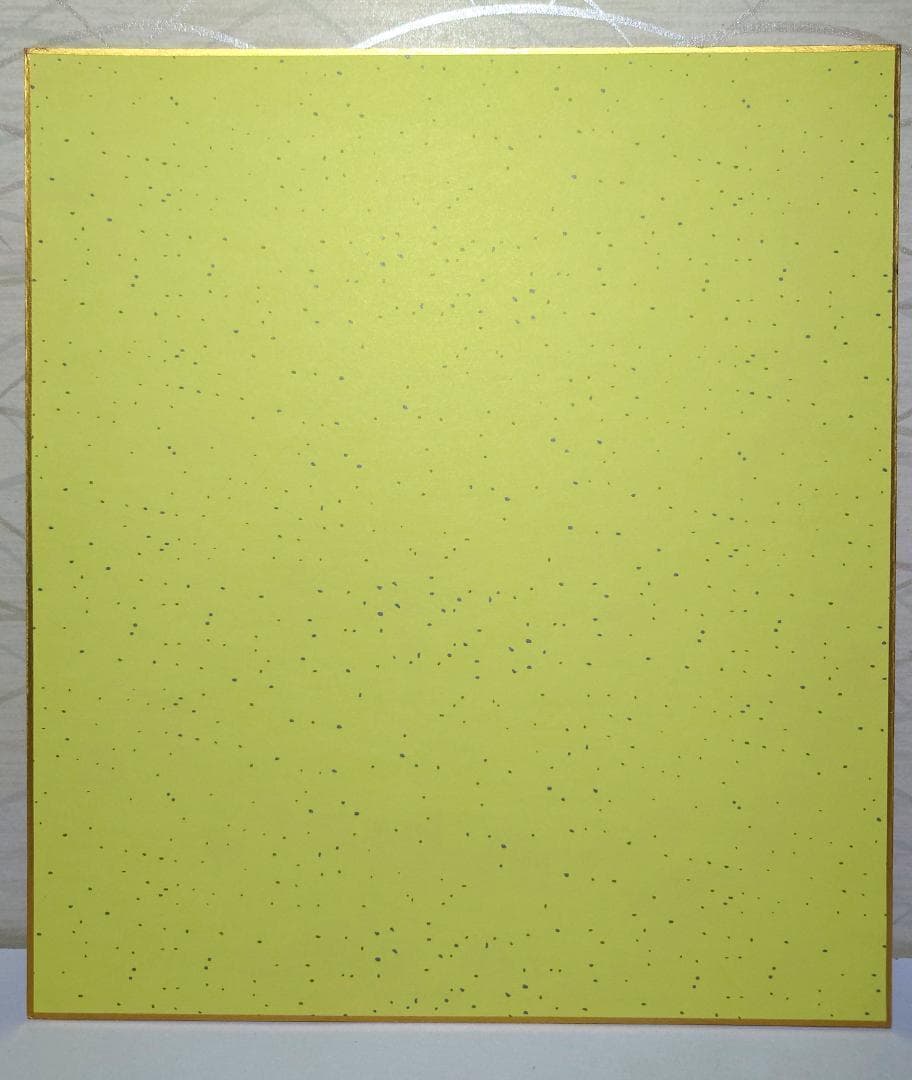 【美品】色紙直筆サイン入り,ZARD,坂井泉水さん,額付き,写真(3枚)セット