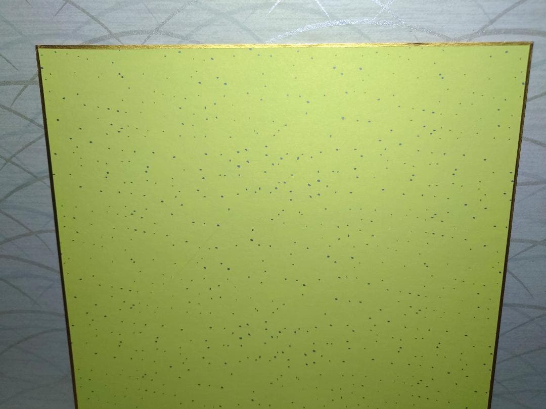 【美品】色紙直筆サイン入り,ZARD,坂井泉水さん,額付き,写真(3枚)セット