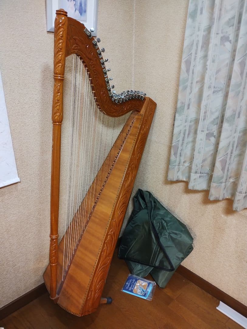 ハリーさま専用 アルパ ハープ 37弦 本体 ケース 弦