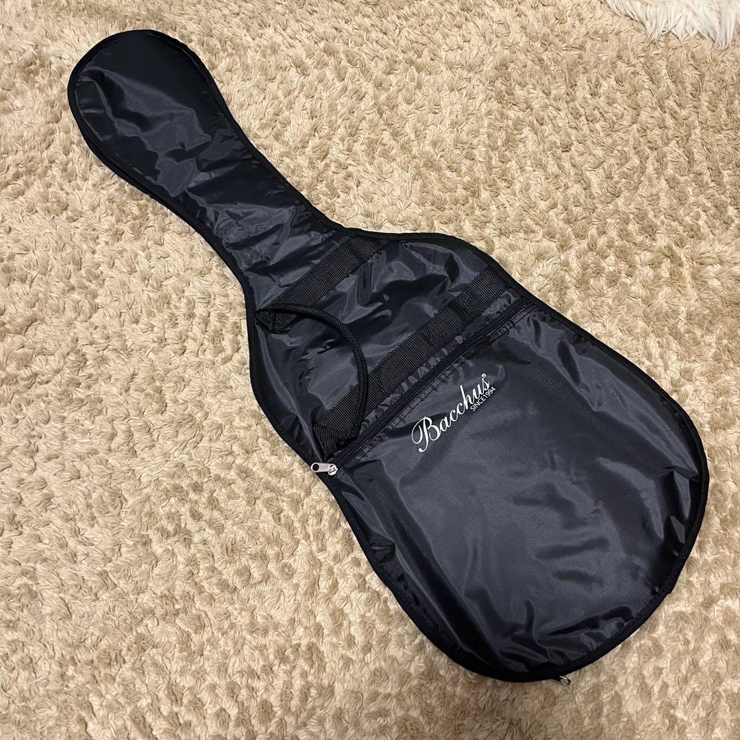 Bacchus BTE-2-RSM/M SFG テレキャスタイプ P90