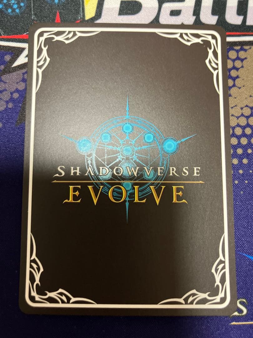 飢餓の絶傑　ギルネリーゼ　PR