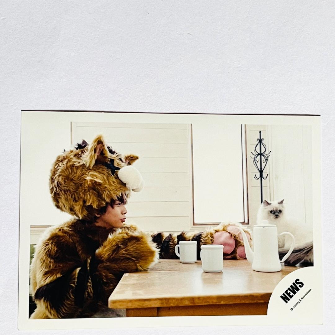 【まとめ売りセット】NEWS(ニュース) 公式写真20枚