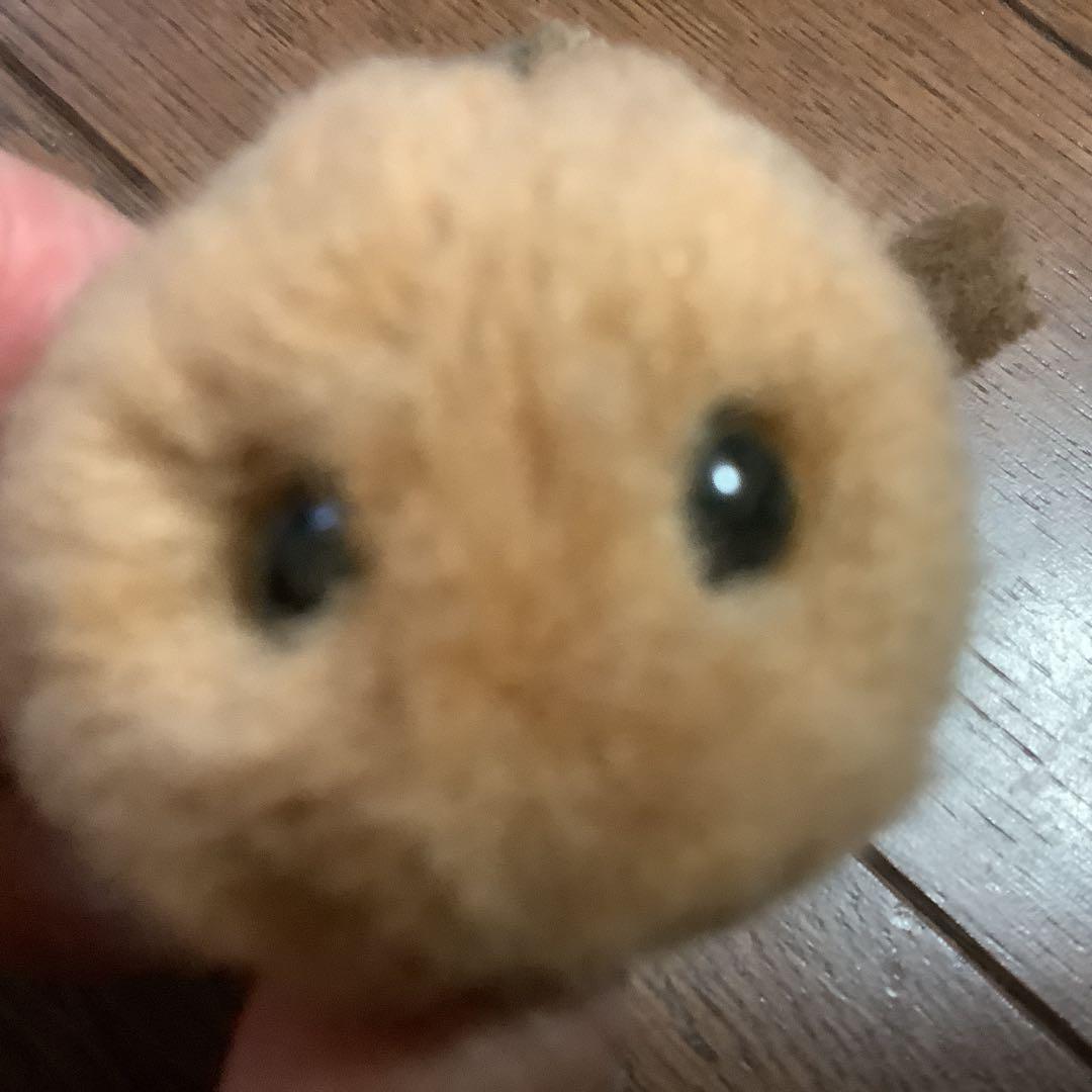 やまね工房　キツネ、エゾリス、モモンガ、やまね、野うさぎのぬいぐるみセット