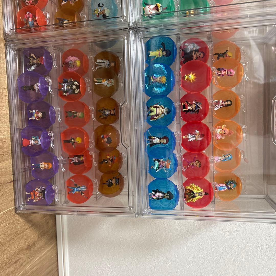 【限定】ワンピの実　引退品　コンプリート