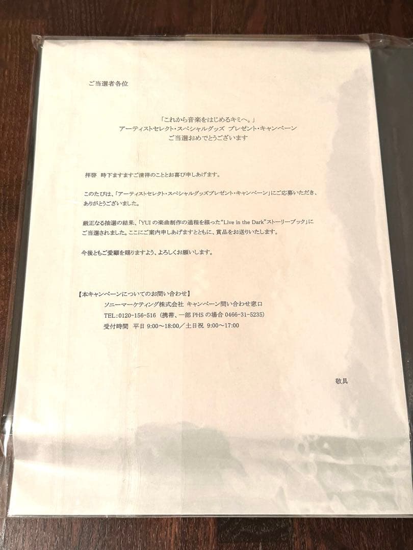 YUI Live in the Darkストーリーブック