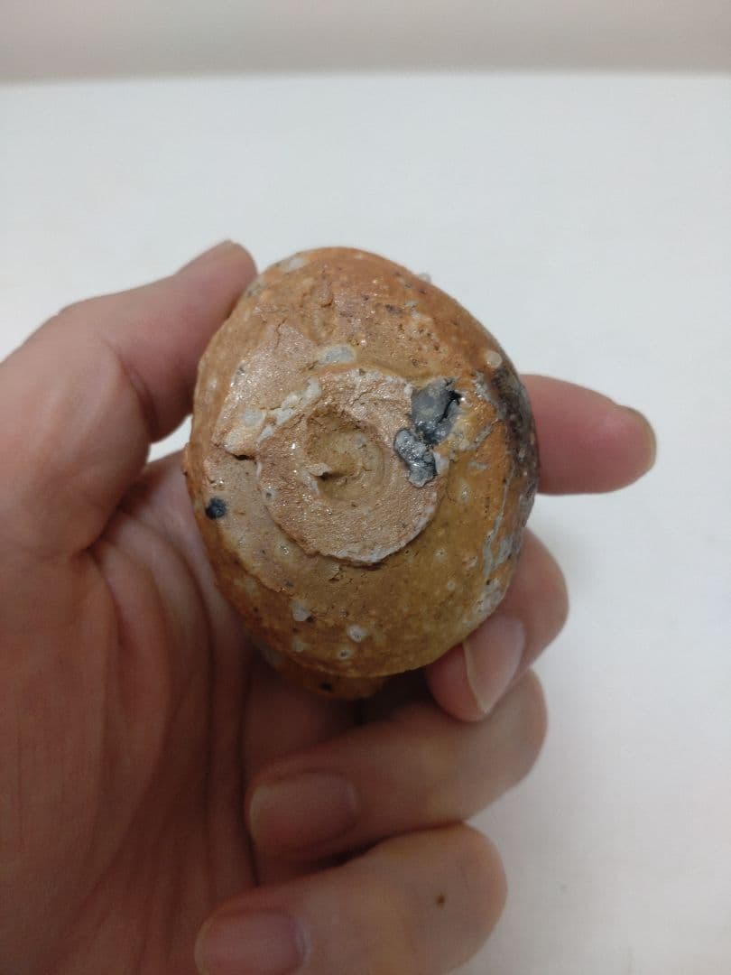 人気作家！辻村史朗 伊賀ぐい呑 共箱 酒器