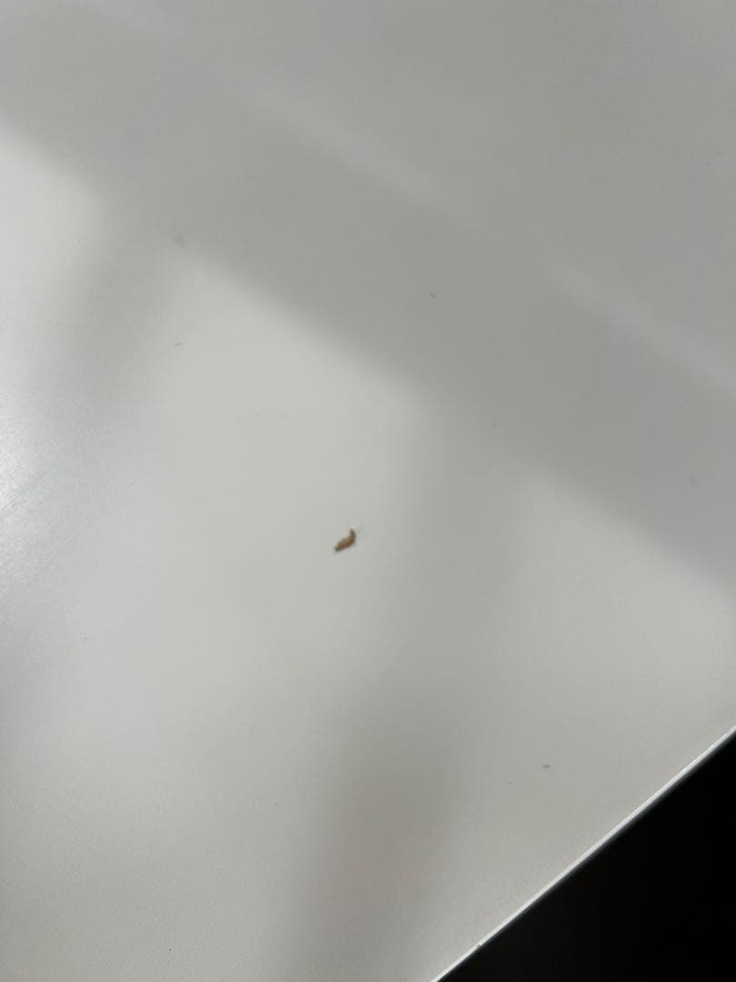 10/26まで⭐︎BoConcept Kingston 伸張式ダイニングテーブル