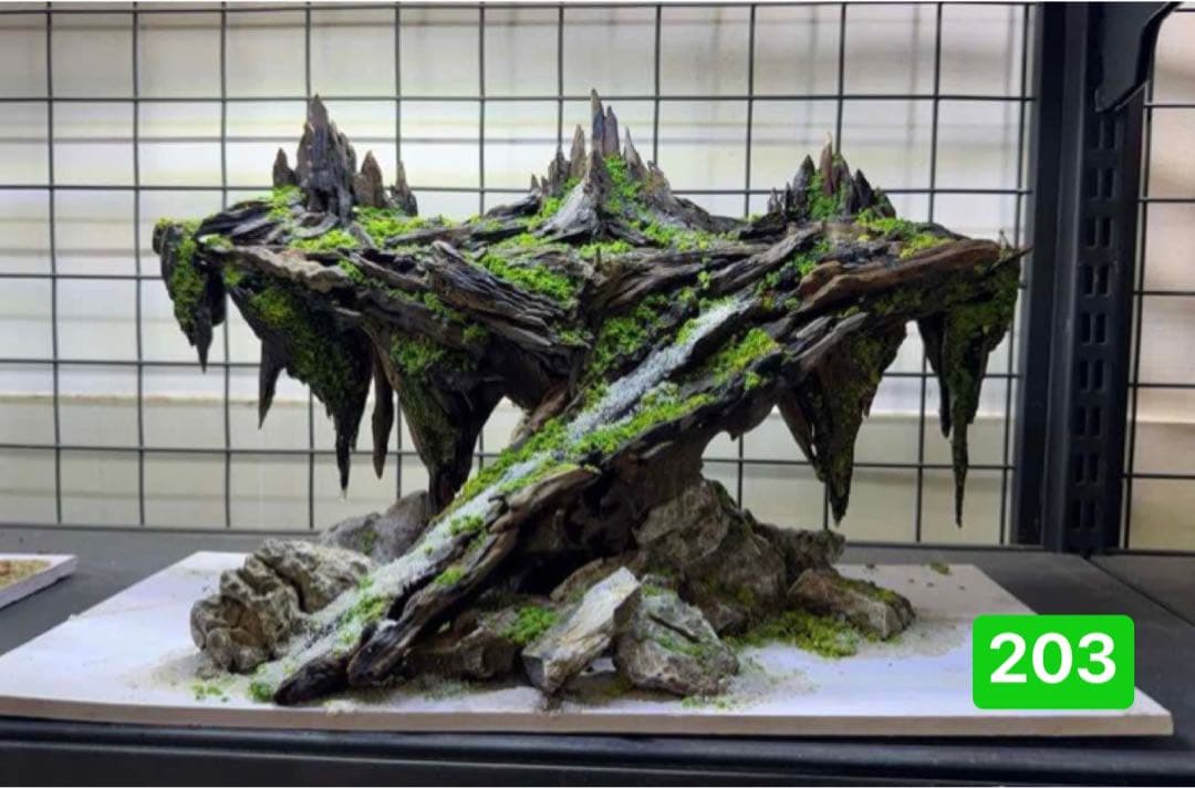 TTD 【⭐︎ レオナルド様⭐︎】【美品・数量限定】