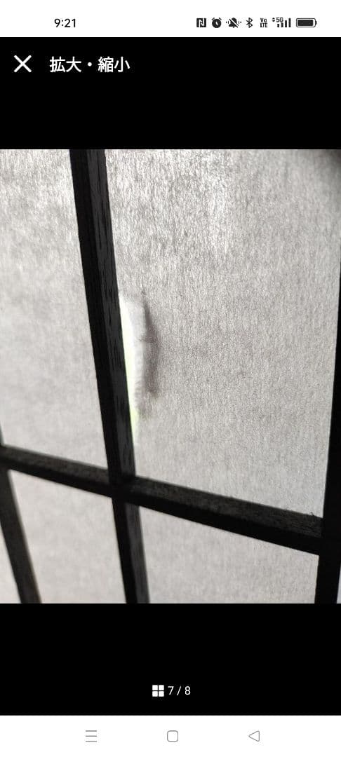 間仕切りパーテーション　破れあり 最終値下げ