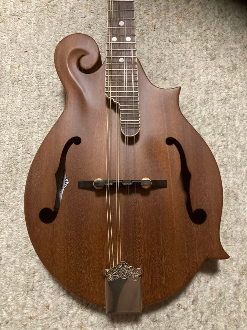 Blanton BM-25F マンドリン