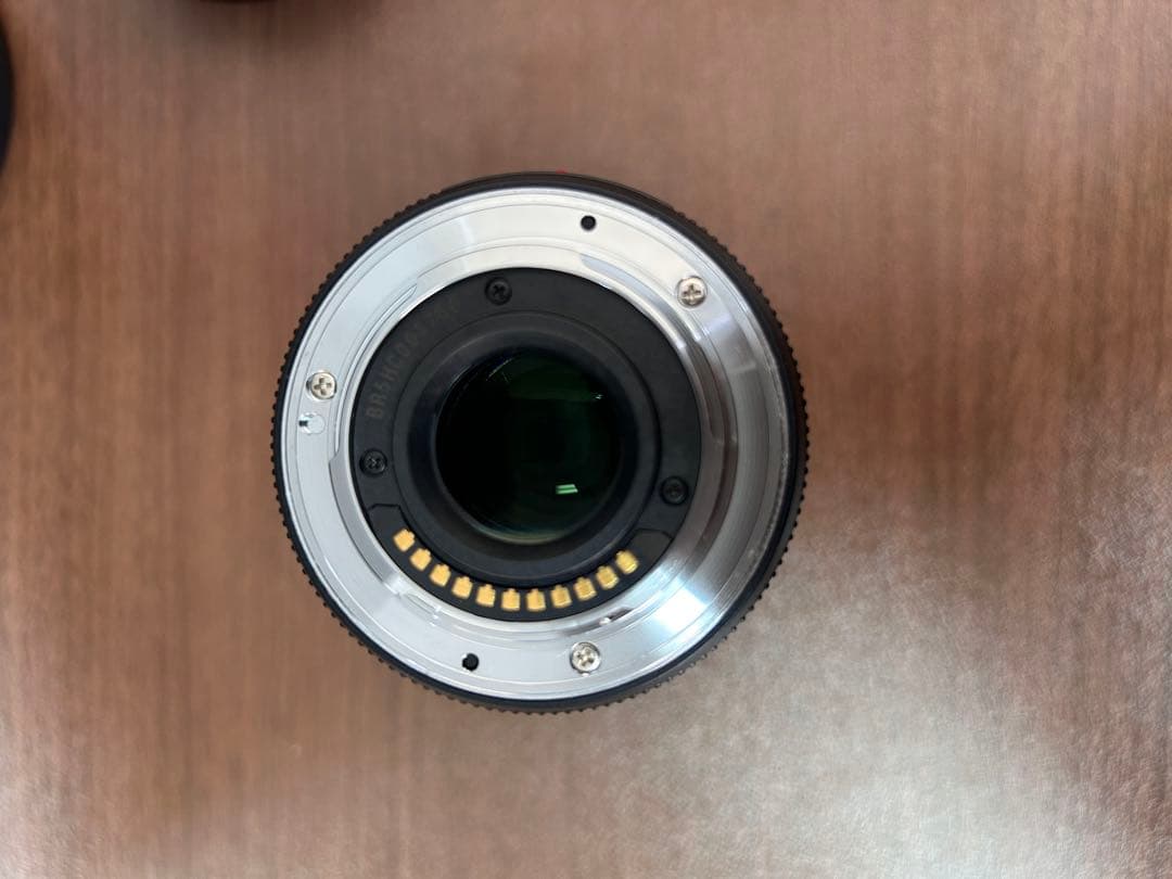 LUMIX G 45-175mm HD レンズ