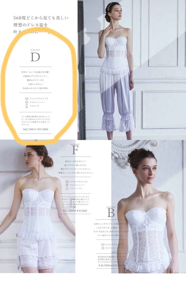 【タカミブライダル】　セモアブライダルインナーDセット　専用バッグつき