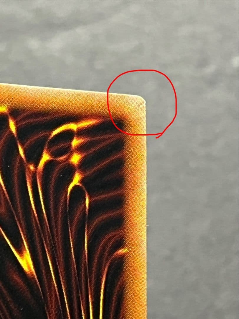 聖域を守護せし光の龍 EXSE エクストラシークレット