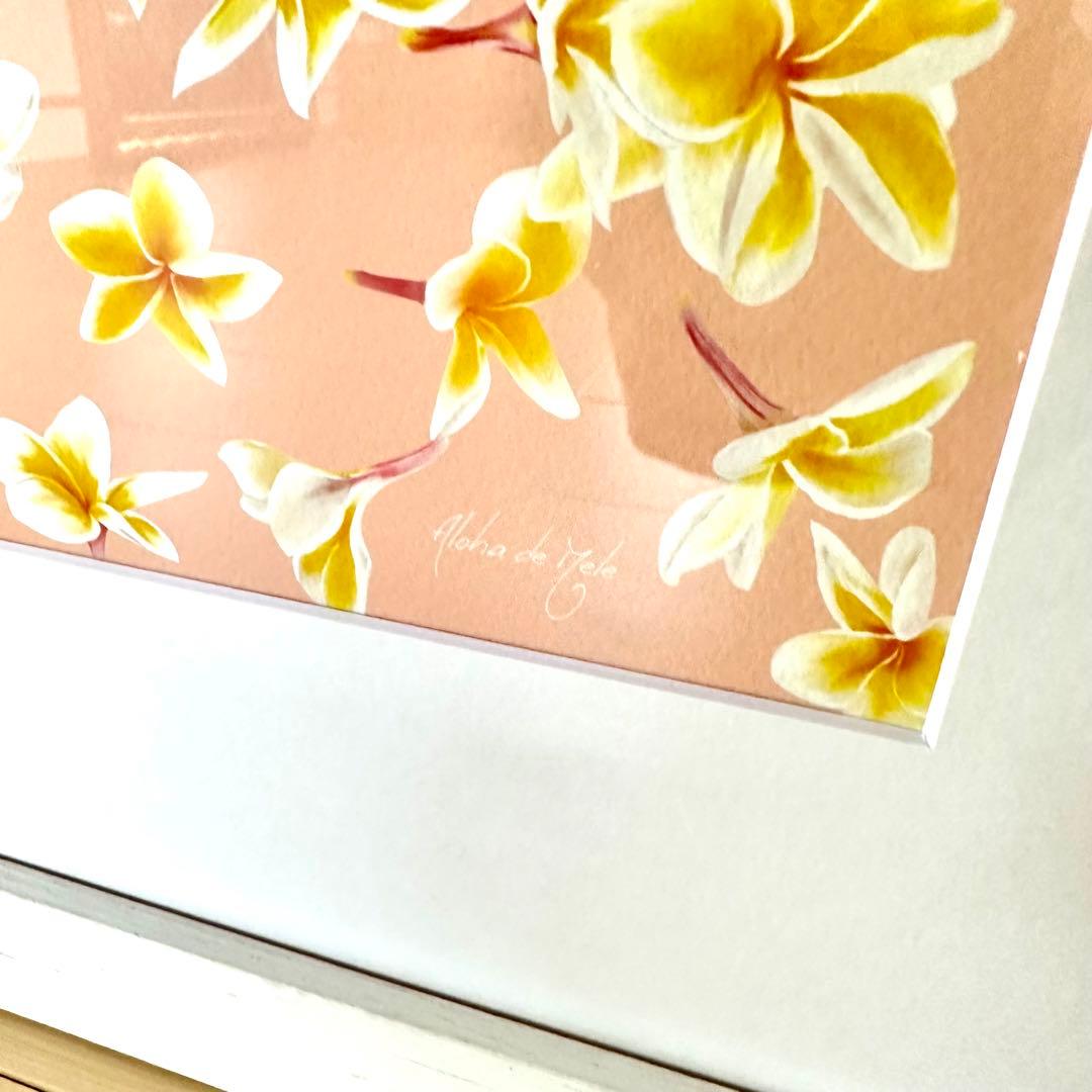 限定1点ハワイの本人から仕入れたレア版/アロハデメレ『Melia F1』額付L