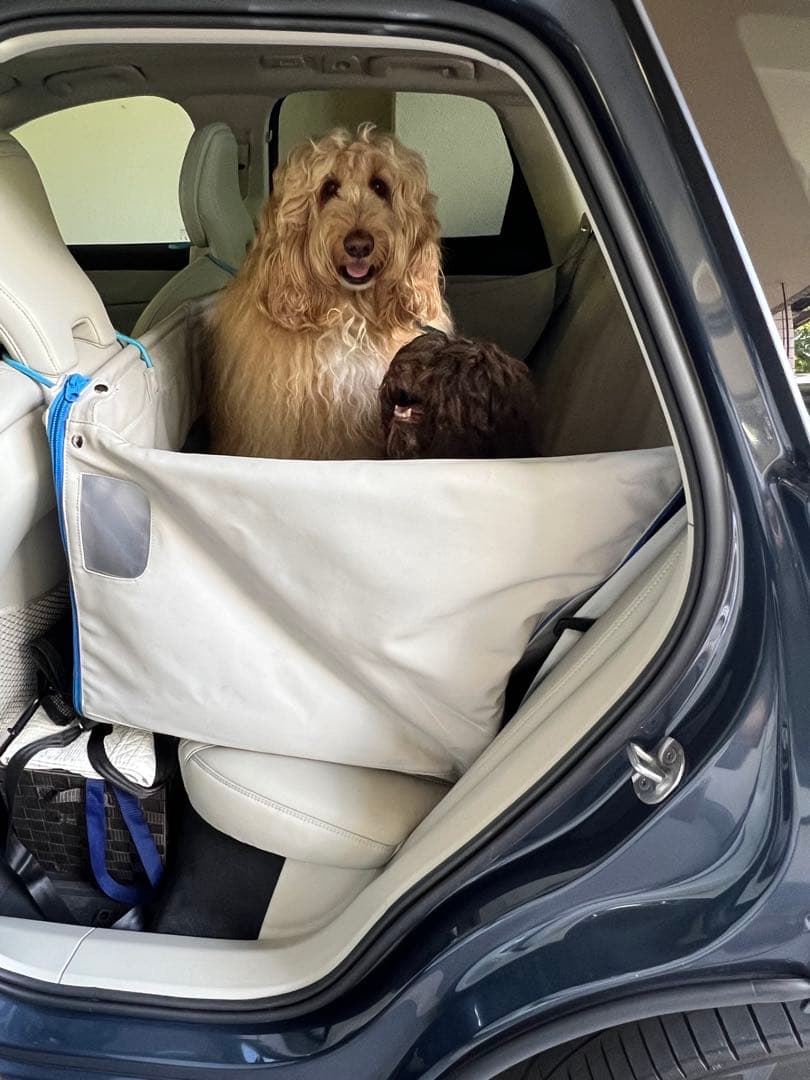 VOLVO純正　ドッグベッド