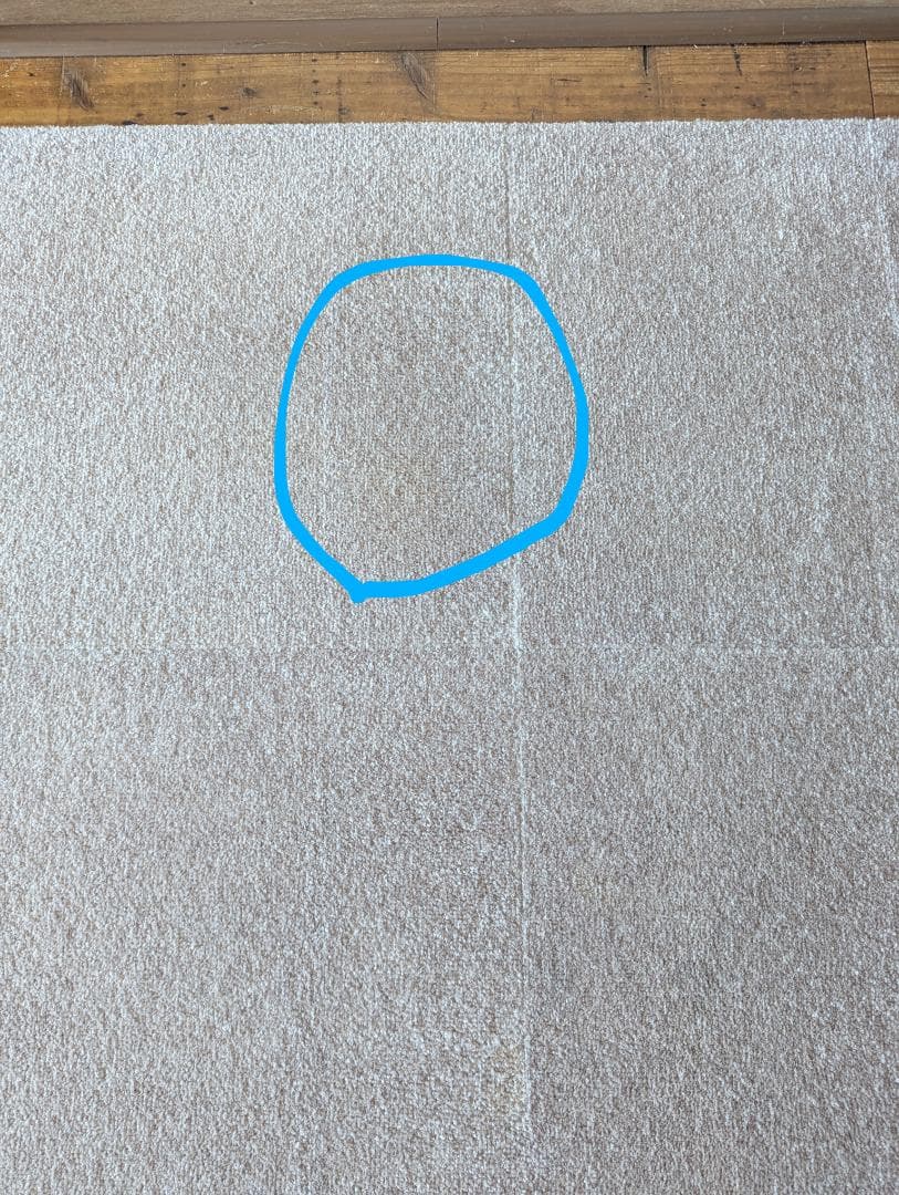 東リ タイルカーペット　ウィズペットフロア　モカ　400×400mm 20枚