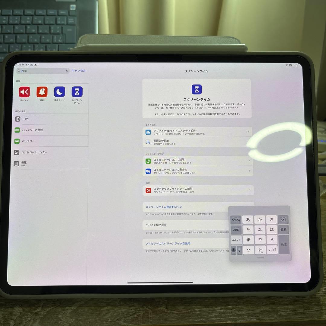 付属品多数　iPad Pro 13インチ M4 256GB シルバー Wi-Fi