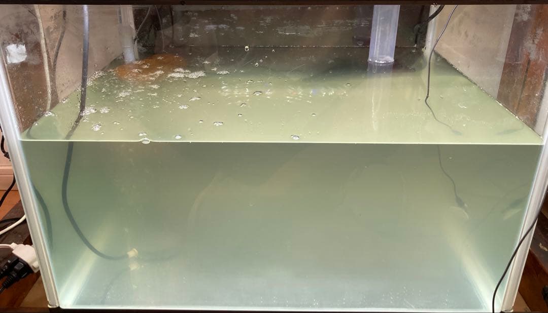 水質浄化抜群濾過材ボールろ材納豆菌入り多孔質パワーボール18L即時発送送料込み