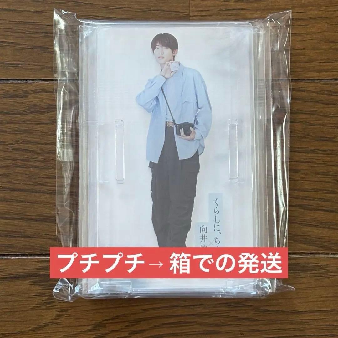 向井康二　アクリルスタンド