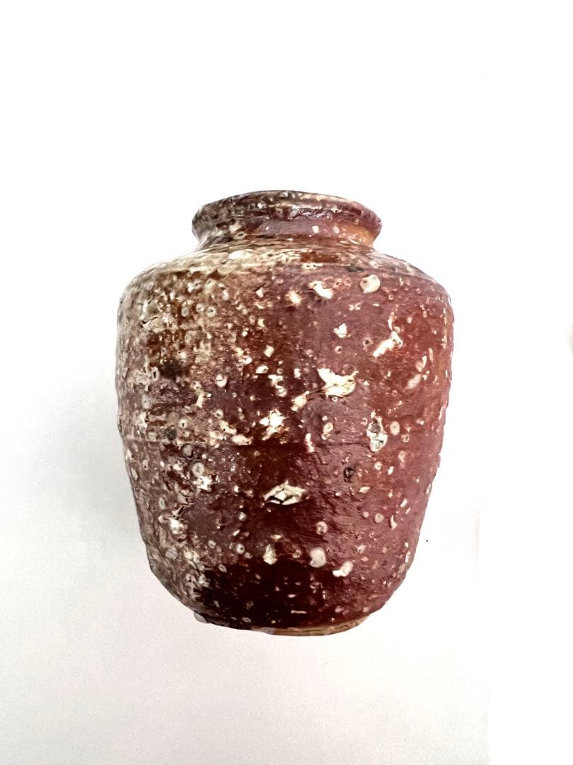 高橋楽斎 信楽茶入 共箱 茶道具