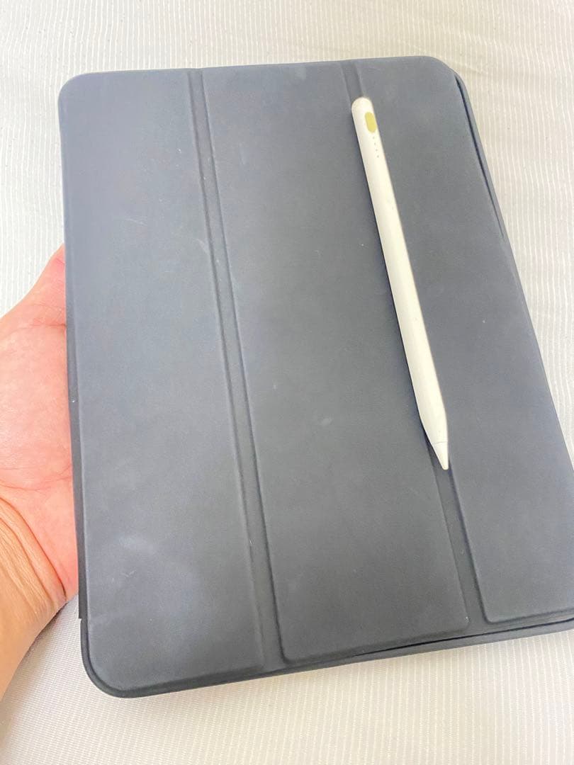 Apple iPad 本体 青