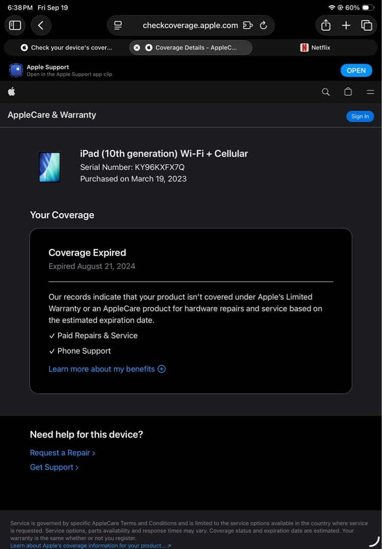 Apple iPad 本体 青