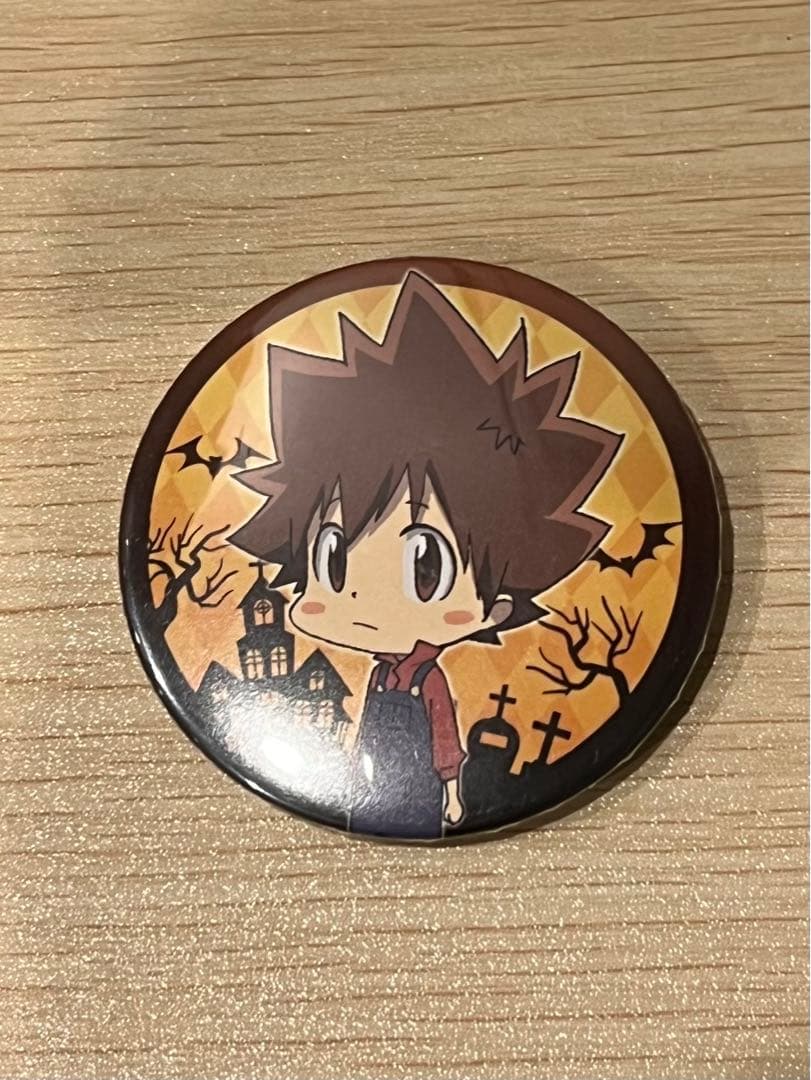 家庭教師ヒットマンREBORN! ジャンプフェスタ 2017 缶バッジ 沢田綱吉