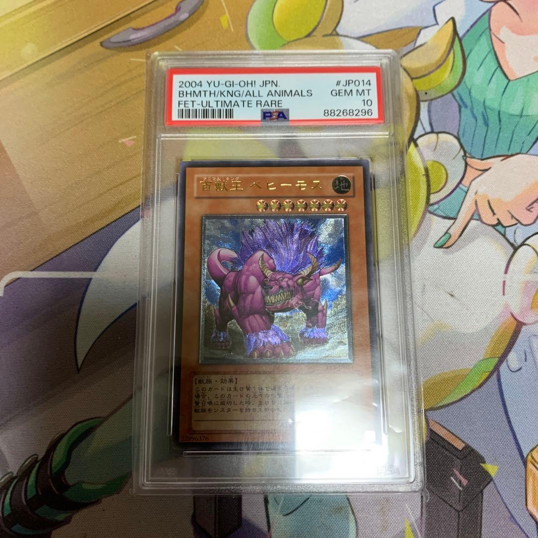 ベヒーモスpsa10