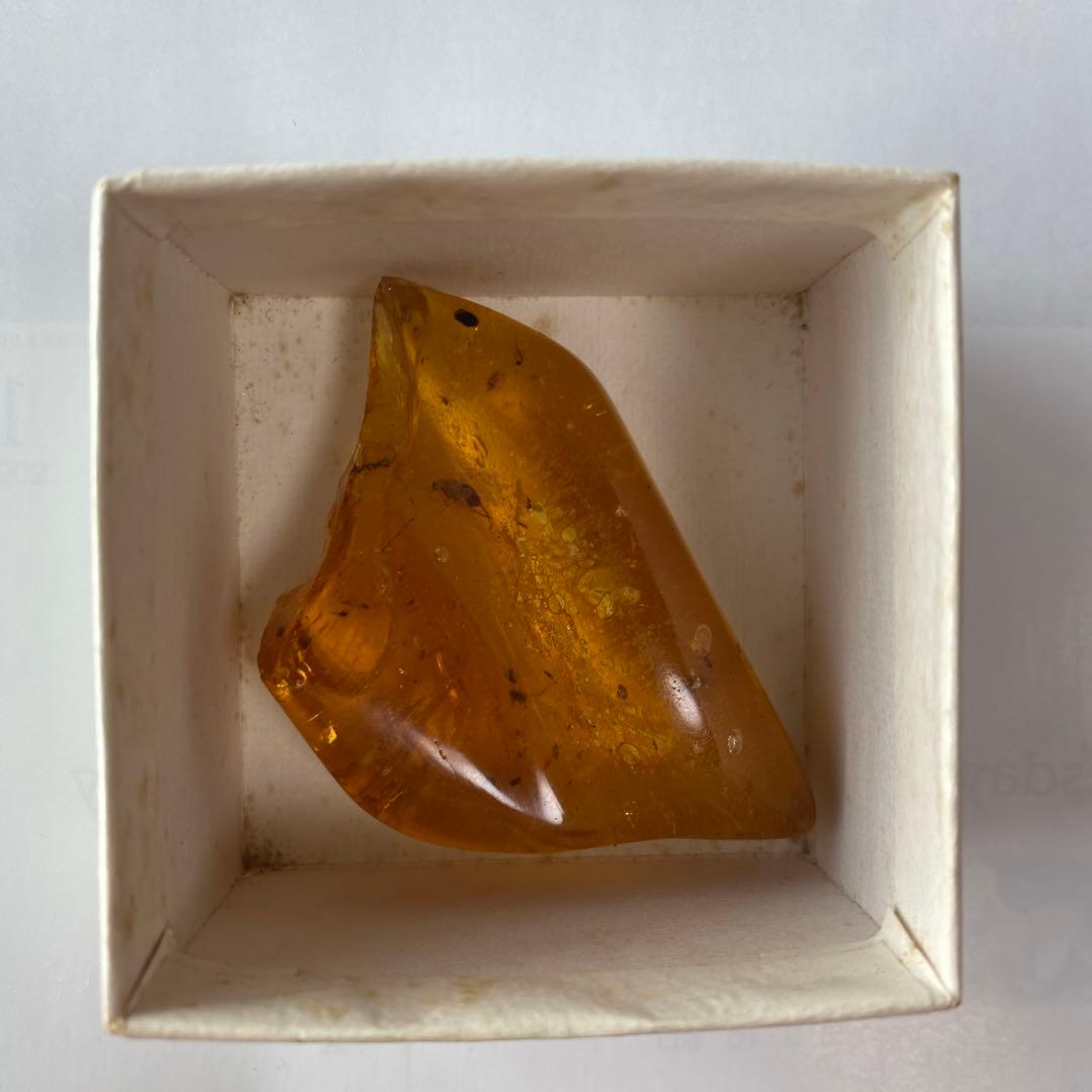 琥珀の半化石のコーパル　希少　虫入り　パワーストーン