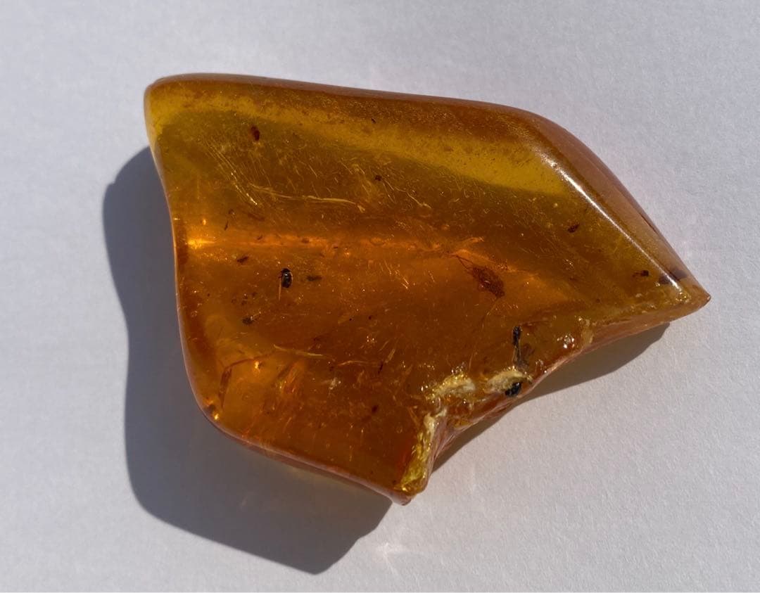 琥珀の半化石のコーパル　希少　虫入り　パワーストーン