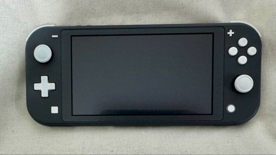 箱・ケース付き★Nintendo 任天堂 Switch Lite グレー