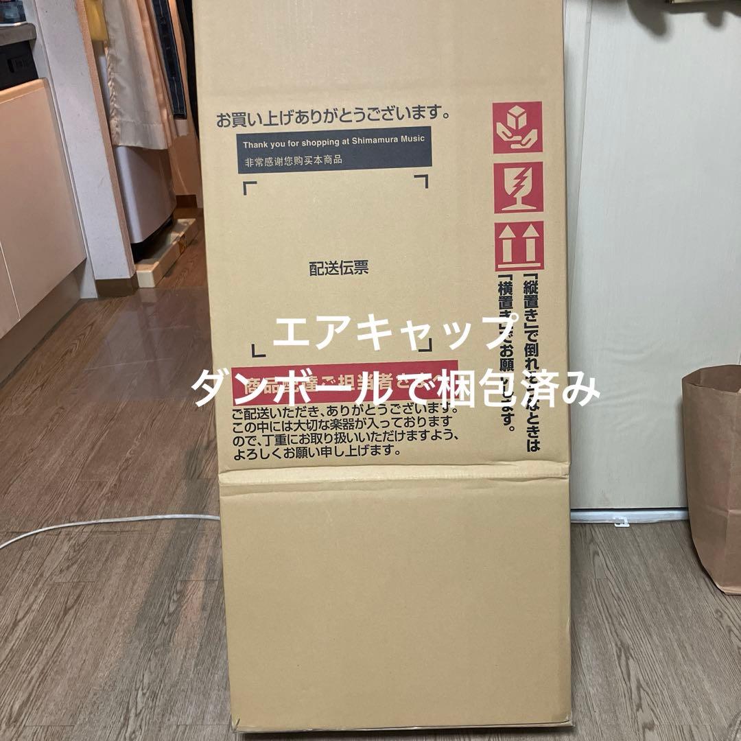 Bacchus GS-mini ミニギター　エレキ　ストラト