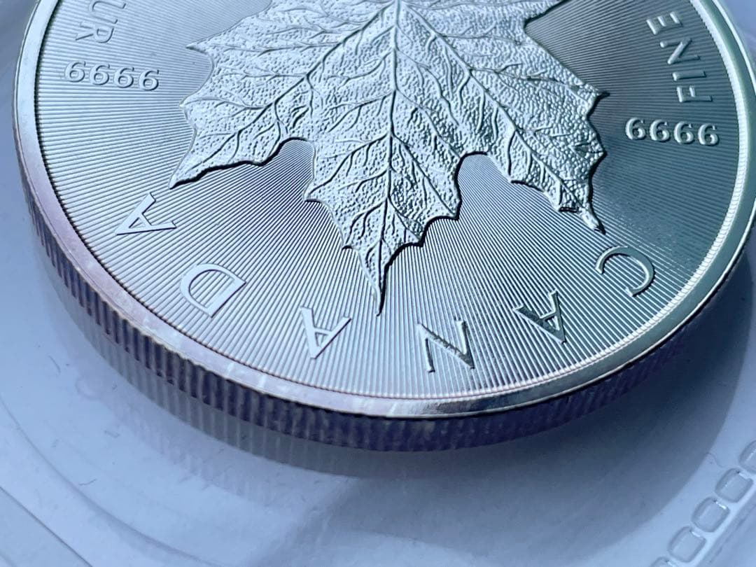  SILVER MAPLE LEAF 1oz 銀貨2014