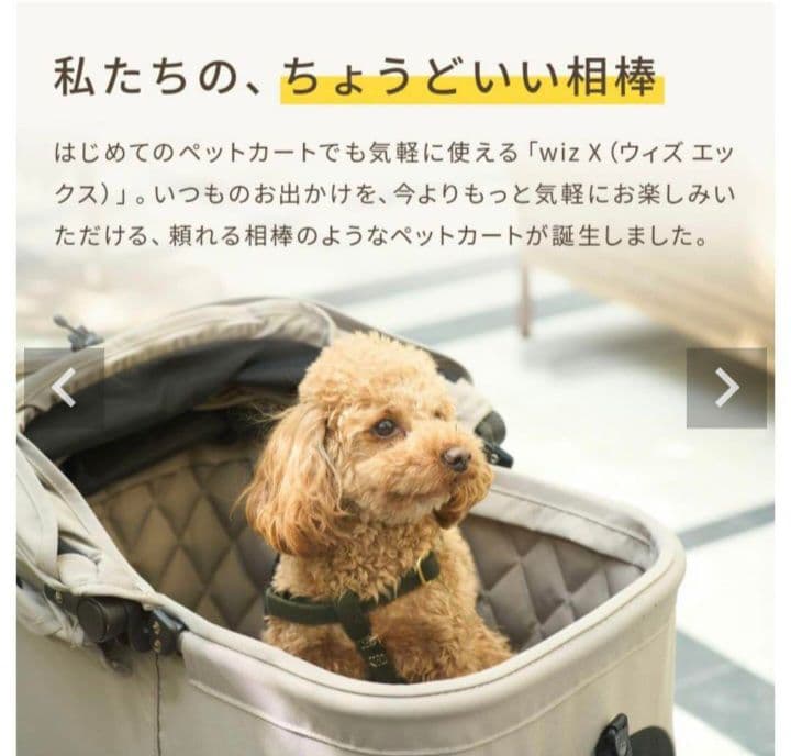 エアバギー wiz x