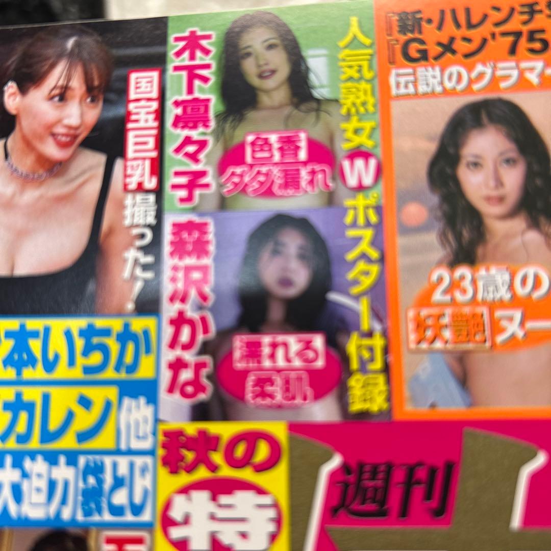 木下凛々子:クリアファイル・カレンダー・アクリルスタンド・週刊大衆