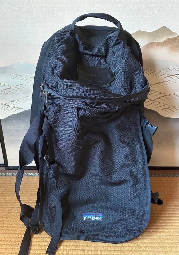 ま*ろ様 希少品 Patagonia キャリーバッグ